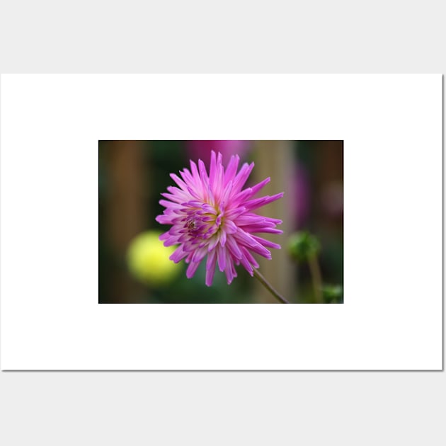 Purple Flower Power Wall Art by JohnDalkin